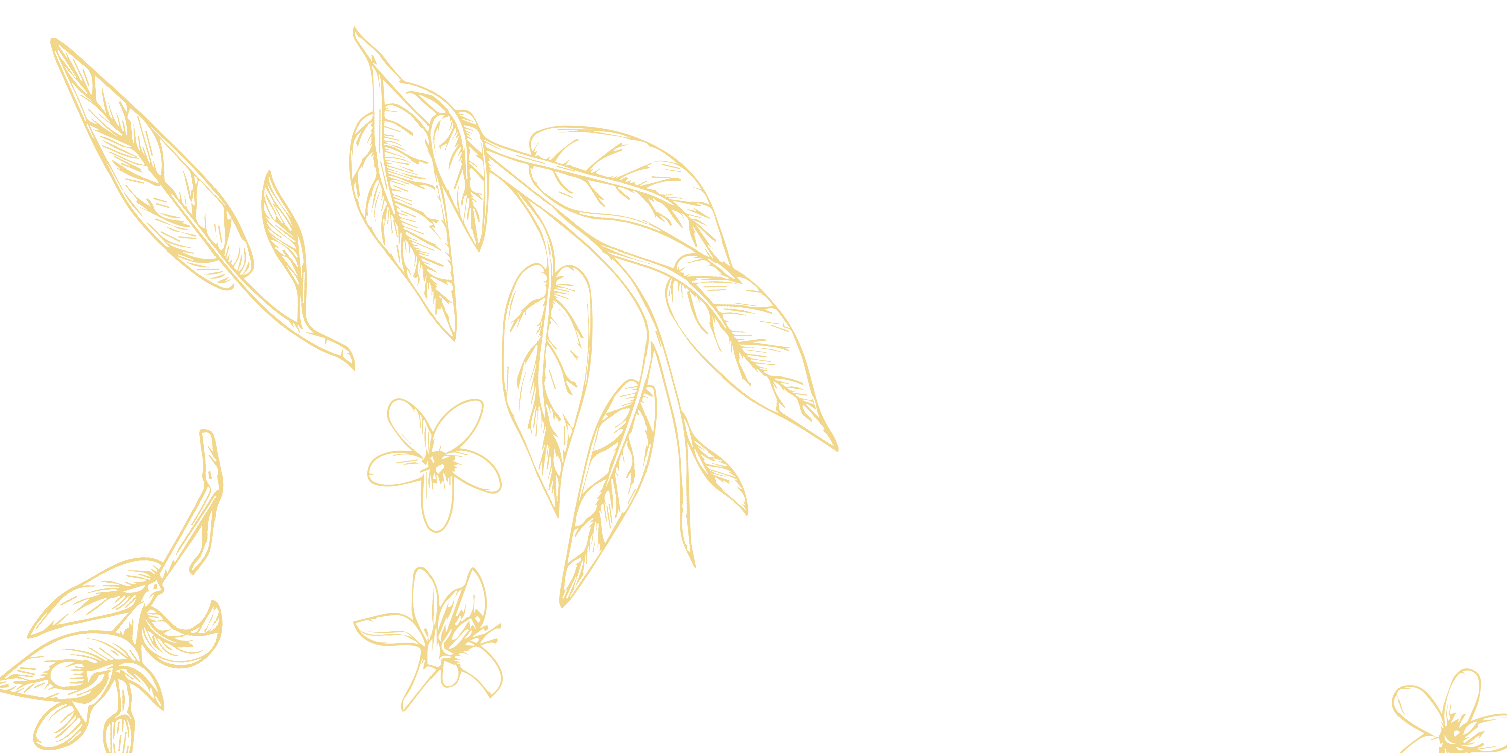 A black background with gold leaves and flowers.