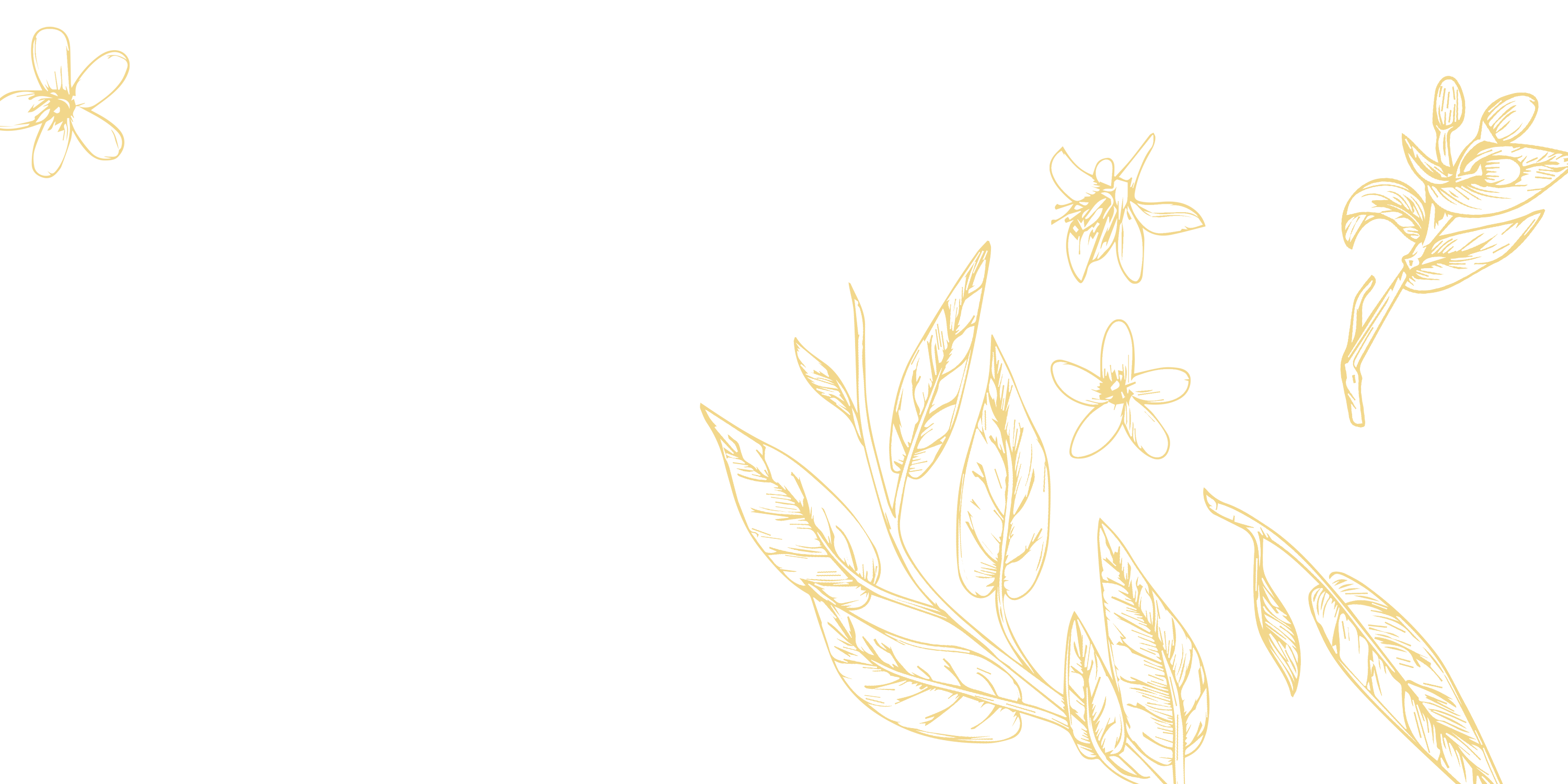 A black background with yellow leaves and flowers.