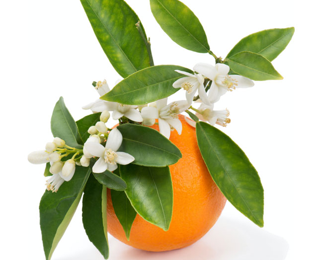 A orange with leaves and flowers in it.